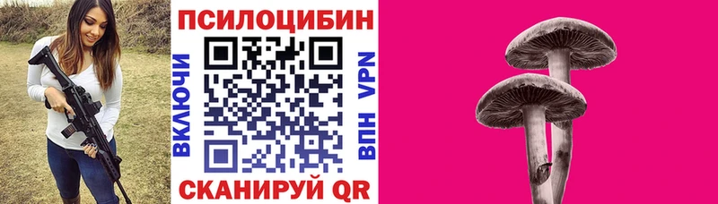 Псилоцибиновые грибы MAGIC MUSHROOMS  мега tor  Полесск 